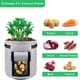 thumbnail image 5 of Bolsas de cultivo ecológicas, gran capacidad que favorece un crecimiento robusto, material biodegradable que promueve la jardinería sostenible, ideal para todas sus necesidades de jardinería (paquete, 5 of 7