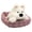 West Highlands, variant on Fun Puppy&Nest Combination Plush Toys Cute Lifelike Lying Doggy Doll Desktop Decor Amusing Gift To Friends