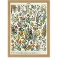 thumbnail image 1 of Flowers Plants Multicolored Botanical A4 Artwork Framed Wall Art Print, 1 of 1