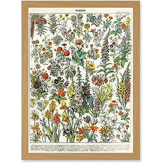 Flowers Plants Multicolored Botanical A4 Artwork Framed Wall Art Print