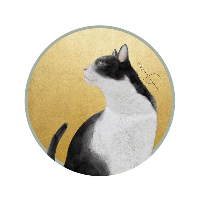 cuadro decorativo gatos fragoso lienzo by suma 1 pieza 60 X 60 CM