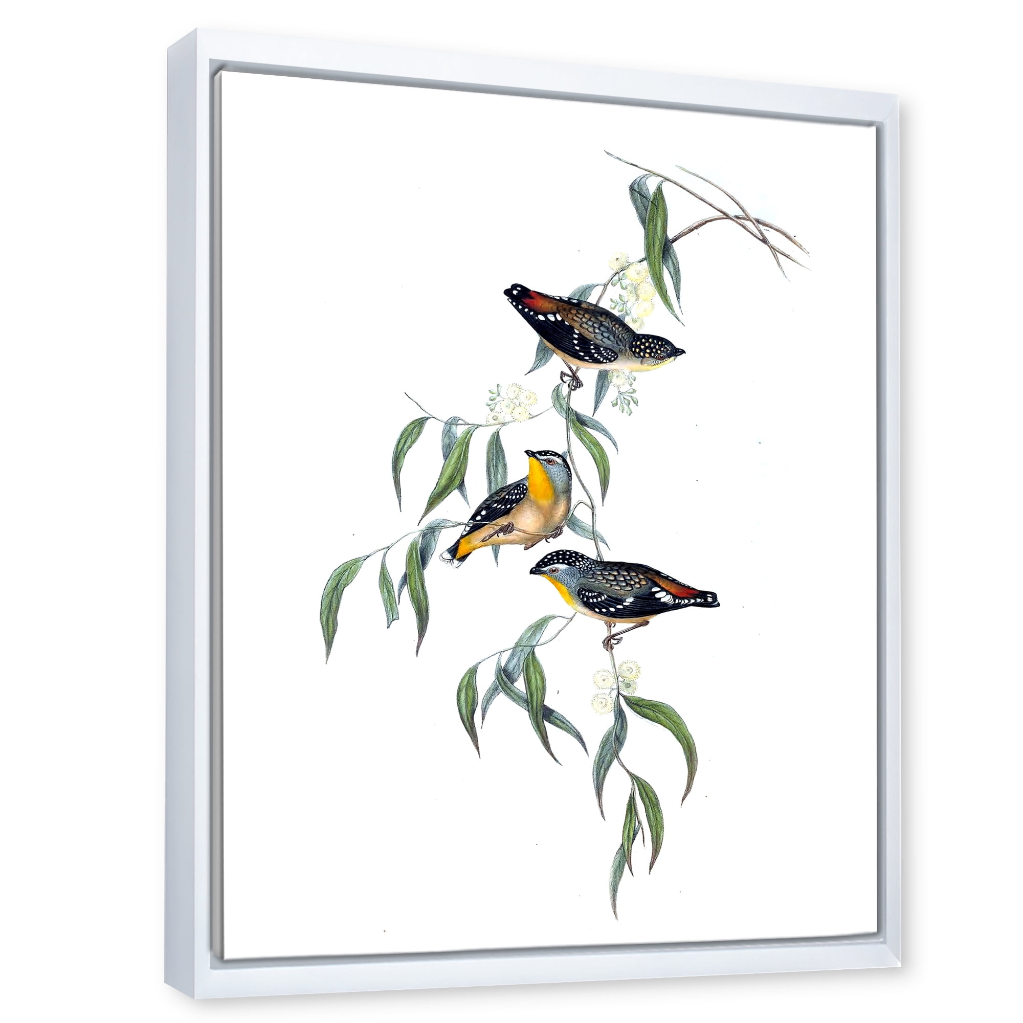 Designart 'Ancient Bird Life III' Traditional Framed Canvas Wall Art Print