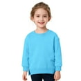 thumbnail image 3 of JIAYUE Sweatshirts For Boys Girls Solid Color Side Slit Long Sleeve Round Neck Pullover For Toddlers Urban Style, 3 of 7