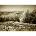 thumbnail image 2 of Alan Hausenflock 24x19 Gallery Wrapped Canvas Wall Art Titled - Piney Mountain II, 2 of 4