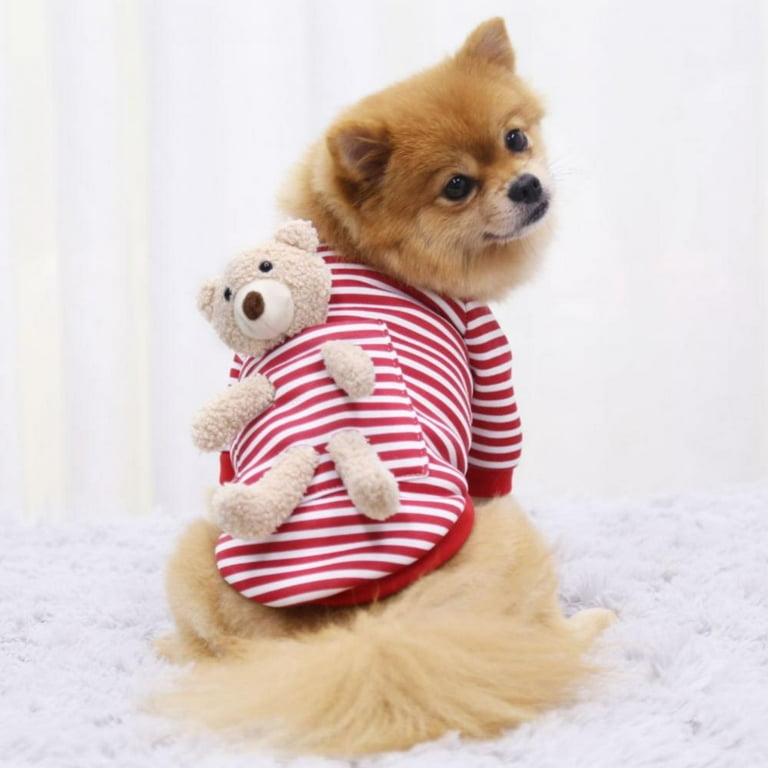 Sweater with teddy discount bear in pocket