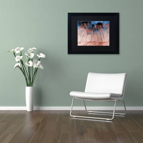 Trademark Fine Art "First Show" Canvas Art by Philippe Sainte-Laudy Black Matte, Black Frame
