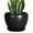 Matte Black, variant on Stillaflora 6 inch Matte Black Small Ceramic Decorative Planter with Drainage Hole & Saucer, Modern Round Indoor Flower Pot for Succulents, Cactus