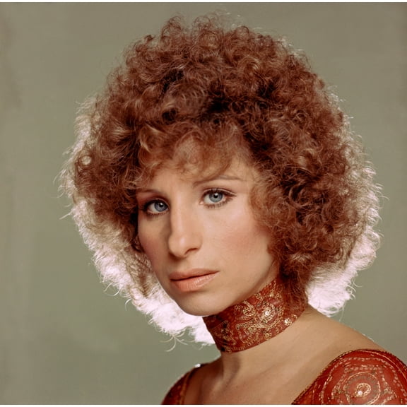 A Star Is Born Barbra Streisand 1976 Photo Print (14 x 11)