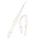 thumbnail image 5 of unbranded 2Ud Portamacetas Colgantes Macramé De Beige Para Interior Y Exterior, 5 of 8
