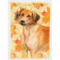 thumbnail image 1 of Carolines Treasures BB9937GF Drapeau de Chute Rhodié - Taille du Jardin, 1 of 3