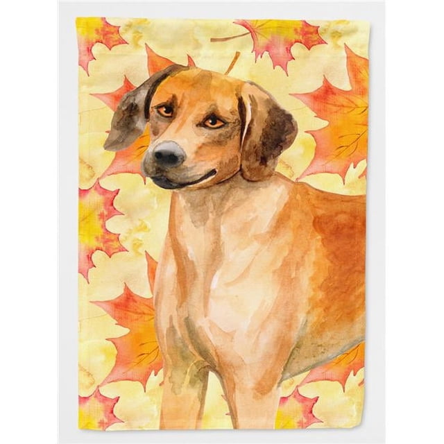 Carolines Treasures BB9937GF Rhodesian Ridgeback Fall Flag - Garden Size