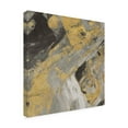 thumbnail image 2 of Trademark Fine Art 'Arroyo Gold And Black' Canvas Art by Albena Hristova, 2 of 3
