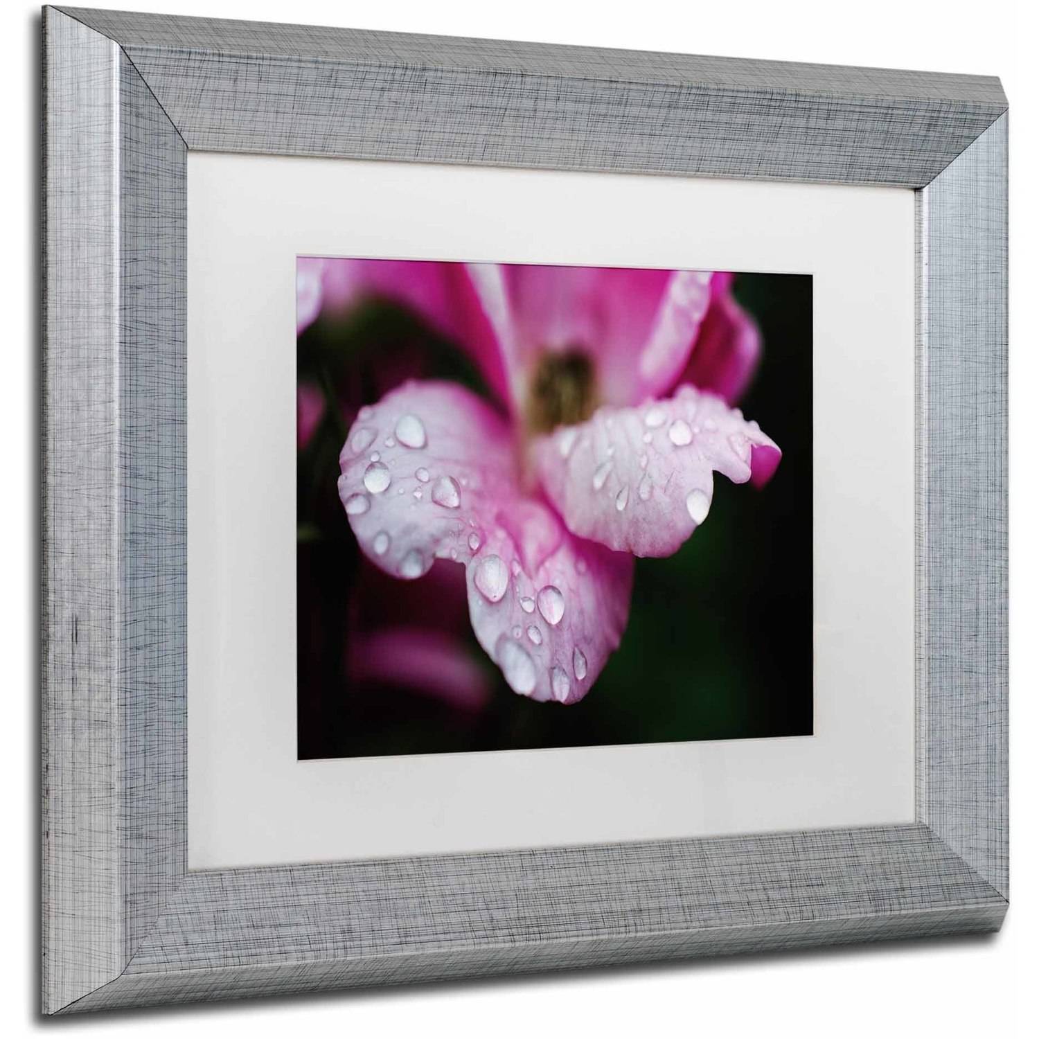 Trademark Fine Art 'Raindrops on Wild Rose Color' Canvas Art by PIPA Fine Art, White Matte, Silver Frame