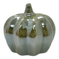 thumbnail image 3 of Decoración Cerámica Way to Celebrate de Calabaza de Cerámica, Diámetro de 11.8 Cm, 3 of 4