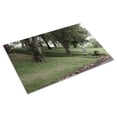 thumbnail image 3 of Print: Prehistoric Indian Mound, Florence, Alabama, 2010, 3 of 4