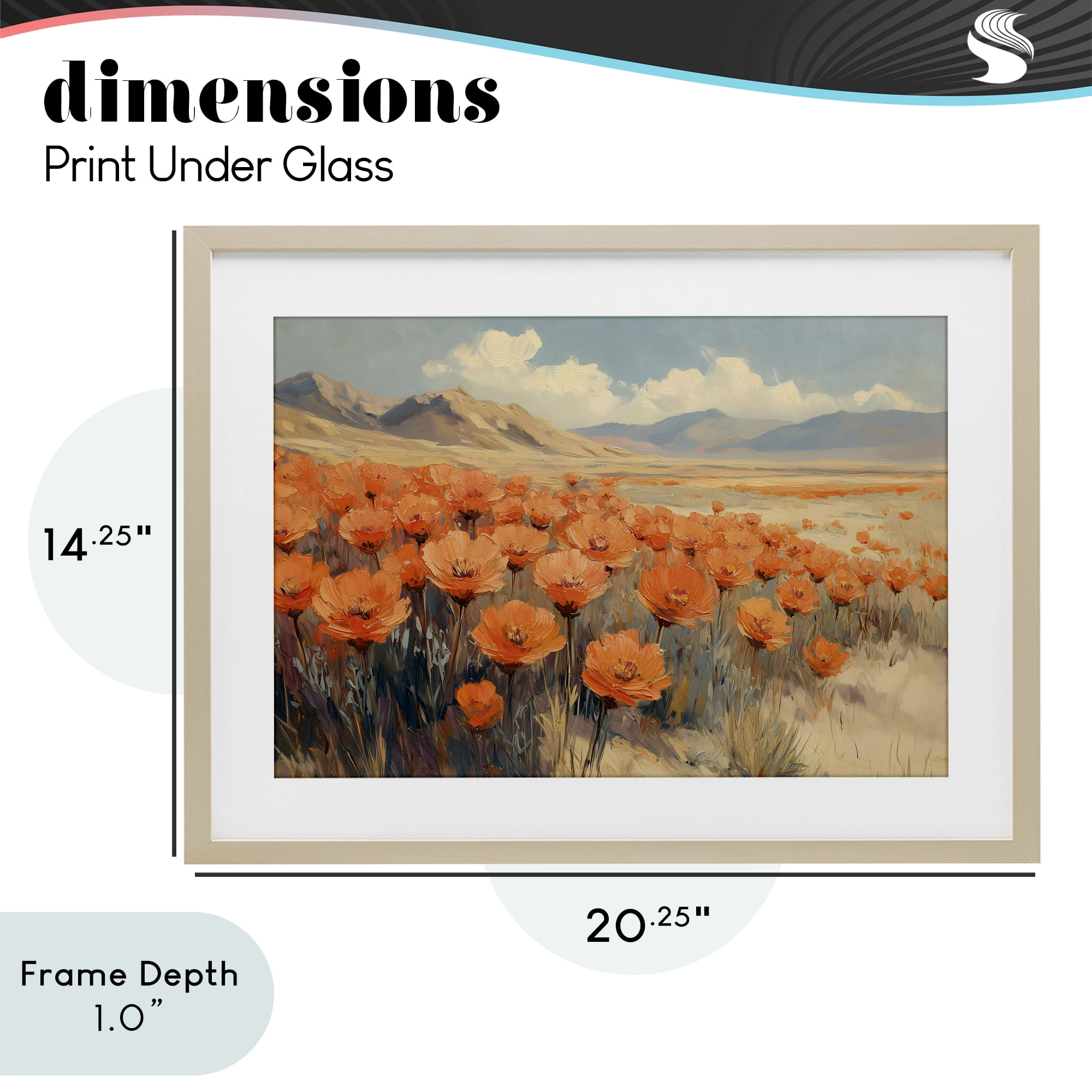 Stupell Industries Desert Poppies in Valley Birch Framed Print Under Glass, design by Gina Kelly