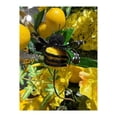 thumbnail image 2 of 30" Spring Wildflower Bee Pick, 2 of 4