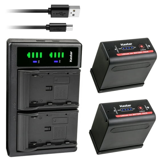 Kastar 2-Pack Battery and LTD2 USB Charger Replacement for Canon G1000, G1500, G2000, GL1 GL-1 DM-GL1, GL2 GL-2 DM-GL2, MV1, MV10 MV10i, MV20 MV20i, MV100 MV100i, MV200 MV200i, Optura, Optura Pi