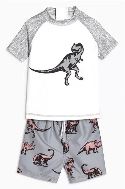 boys dinosaur swimwear