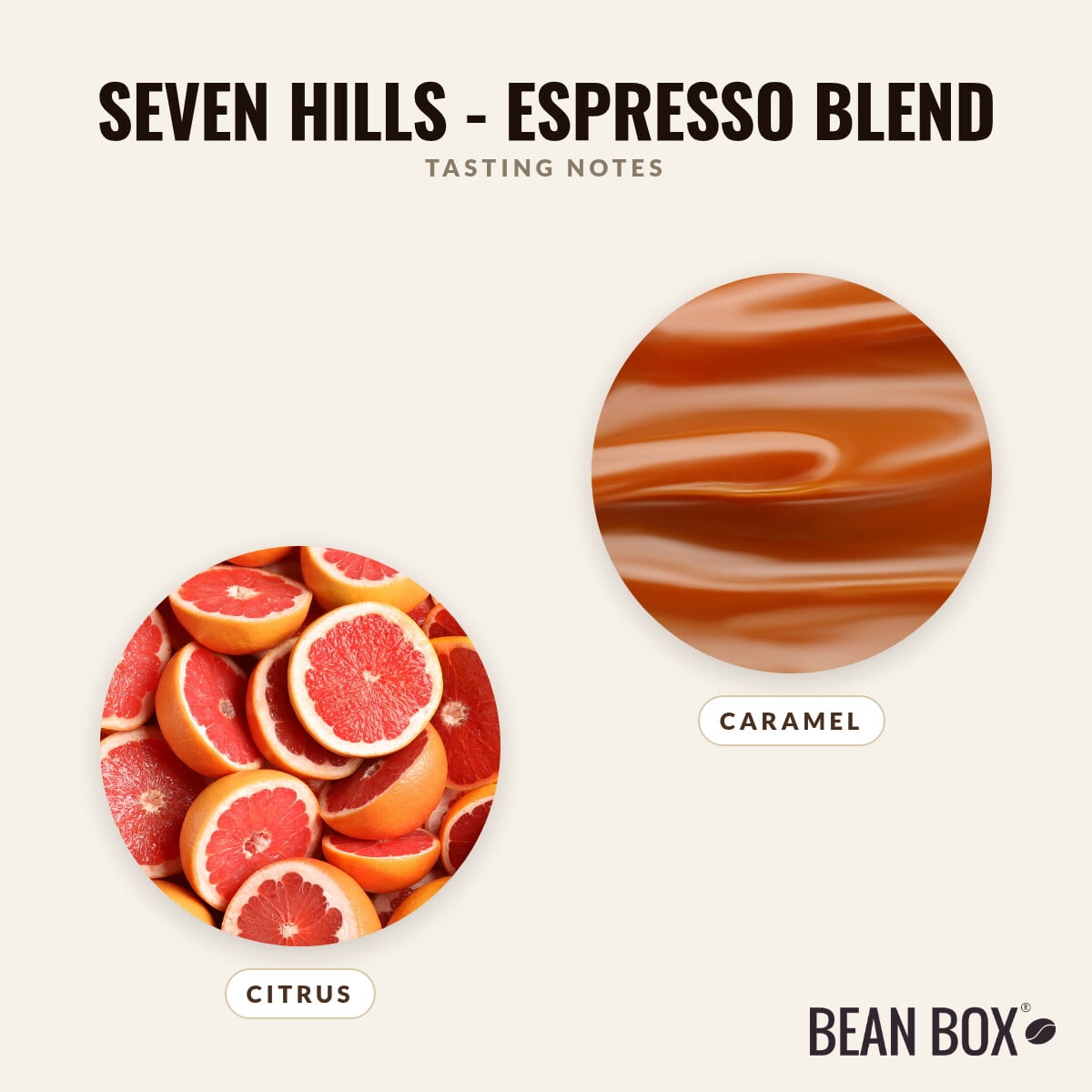 Seven Hills - Espresso Blend - Roasted by Bolt Coffee Co. - Whole Bean Coffee - 12oz Bag
