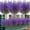 Purple, variant on Artificial Lavender Flowers, 1 Bundle Outdoor Uv Resistant Fake Flowers No Fade Faux Plastic Plants Garden Porch Window Box Decorating(Green)