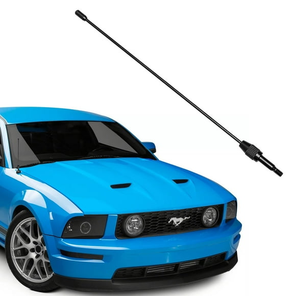 Mustang GT V6 Short Antenna Replacement for Enhanced AM FM Reception