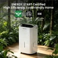 thumbnail image 4 of Waykar 80 Pint Dehumidifier for Basement, Crawl Space & RV/Boat Storage, 5,000 Sq. Ft., Auto Defrost for Cold Winter, Continuous Drain, No Daily Emptying, 25 Pint DOE, 4 of 11