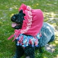 thumbnail image 4 of IDEANATEGRATE Sombrero Para Ajustable Rosado Con Protección Solar Y Para Perros Pequeños, 4 of 6
