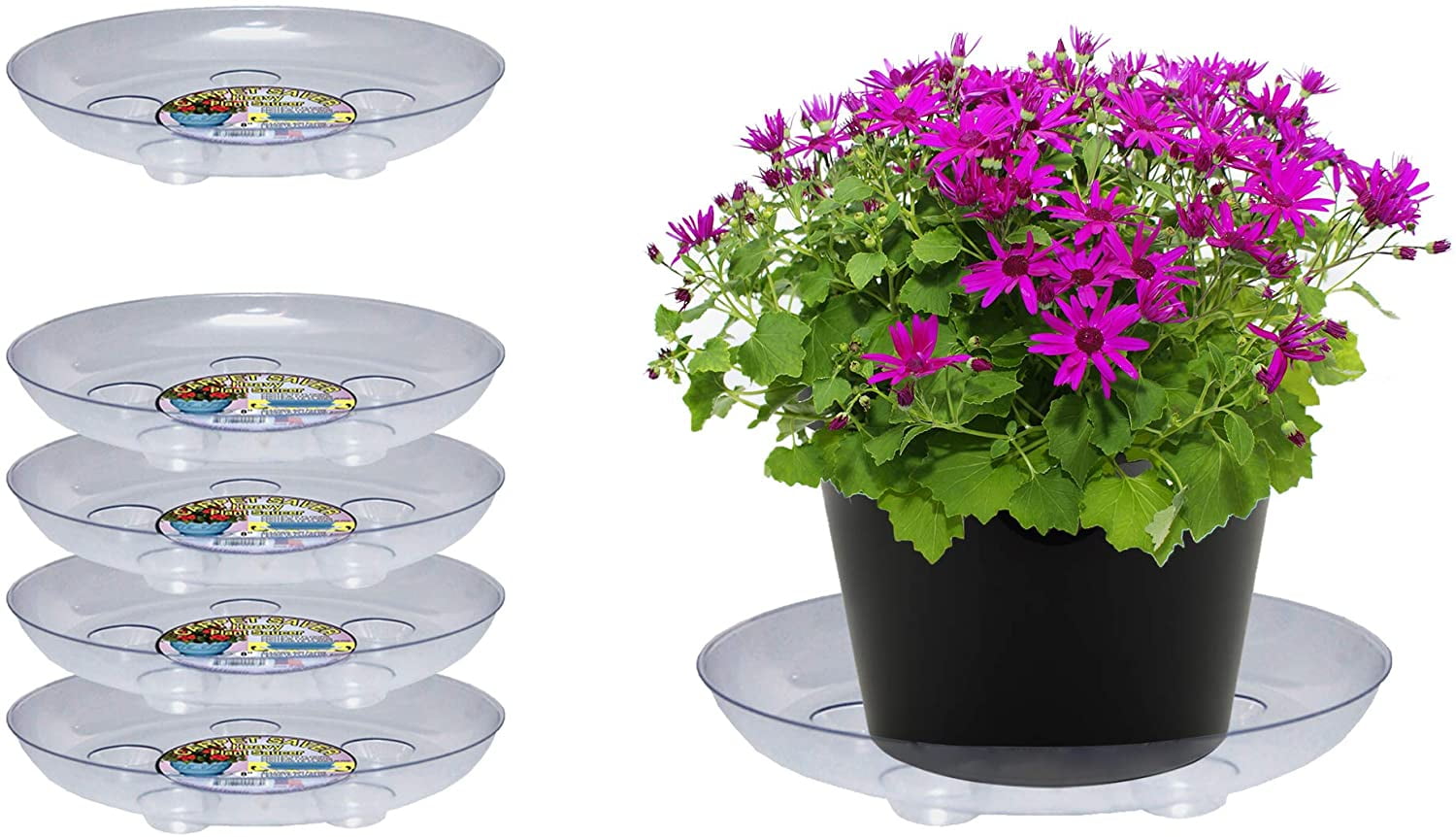 Curtis Wagner Plastics Plant Tray Carpet Savers (16" Clear Round