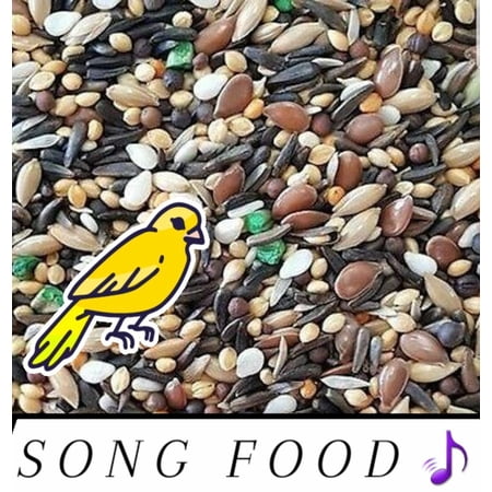 Canary Food Treat For Canaries FRESH!!! From Bulk