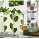 thumbnail image 4 of Caja de 12 Ron Bacardi Blanco 980 ml, 4 of 5