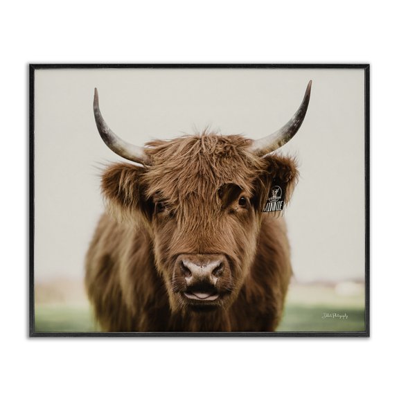 Stupell Industries Farmhouse Farmhouse Cattle Photography Black Framed Giclee Art, 30 x 24, by Dakota Diener