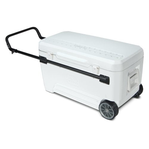 crazy cooler top speed