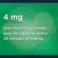 thumbnail image 5 of Equate Mini Nicotine Lozenges, 4 mg, Mint Flavor, 108 Count, 5 of 9