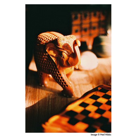 《新品アクセサリー》 HARMAN（ハーマン） Phoenix 200 〔35mm/カラーネガフィルム〕