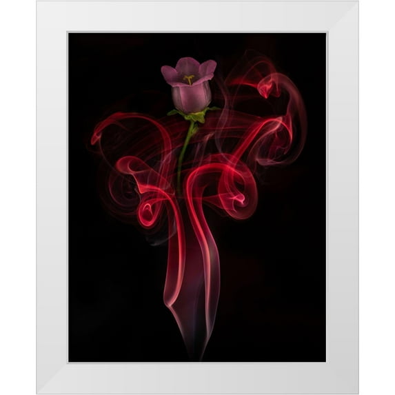 Yakubovitch, Azriel 26x32 White Modern Wood Framed Museum Art Print Titled - Campanula Bell Dance