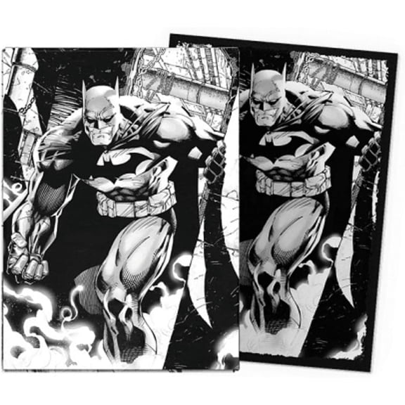 Standard Sleeves - Matte Dual Art The Dark Knight (100)