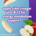 Vitafusion Apple Cider Vinegar Gummies, 500mg Apple Cider Vinegar per