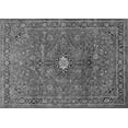 thumbnail image 1 of Ahgly Company Indoor Rectangle Persian Gray Traditional Area Rugs, 5' x 7', 1 of 1