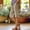 Khaki, variant on Women's Pants - Women's Fashionable Casual Slit With Pocket Cotton Linen Loose Shorts, Comfortable, Breathable, High Waist, Wide Leg, Loose Fit