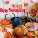 thumbnail image 4 of Teissuly Handmade Velvet Pumpkins Decor,Super Soft Stuffed Pumpkin with Exquisite Craftsmanship for Fall Halloween Thanksgiving Decoration Teissuly WER202310160417, 4 of 9