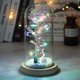 thumbnail image 1 of Led encantado Galaxy Rose eterna flor de lámina de oro de 24k con luces de cadena de hadas en cúpula para regalo de Navidad y San Valentín, 1 of 4