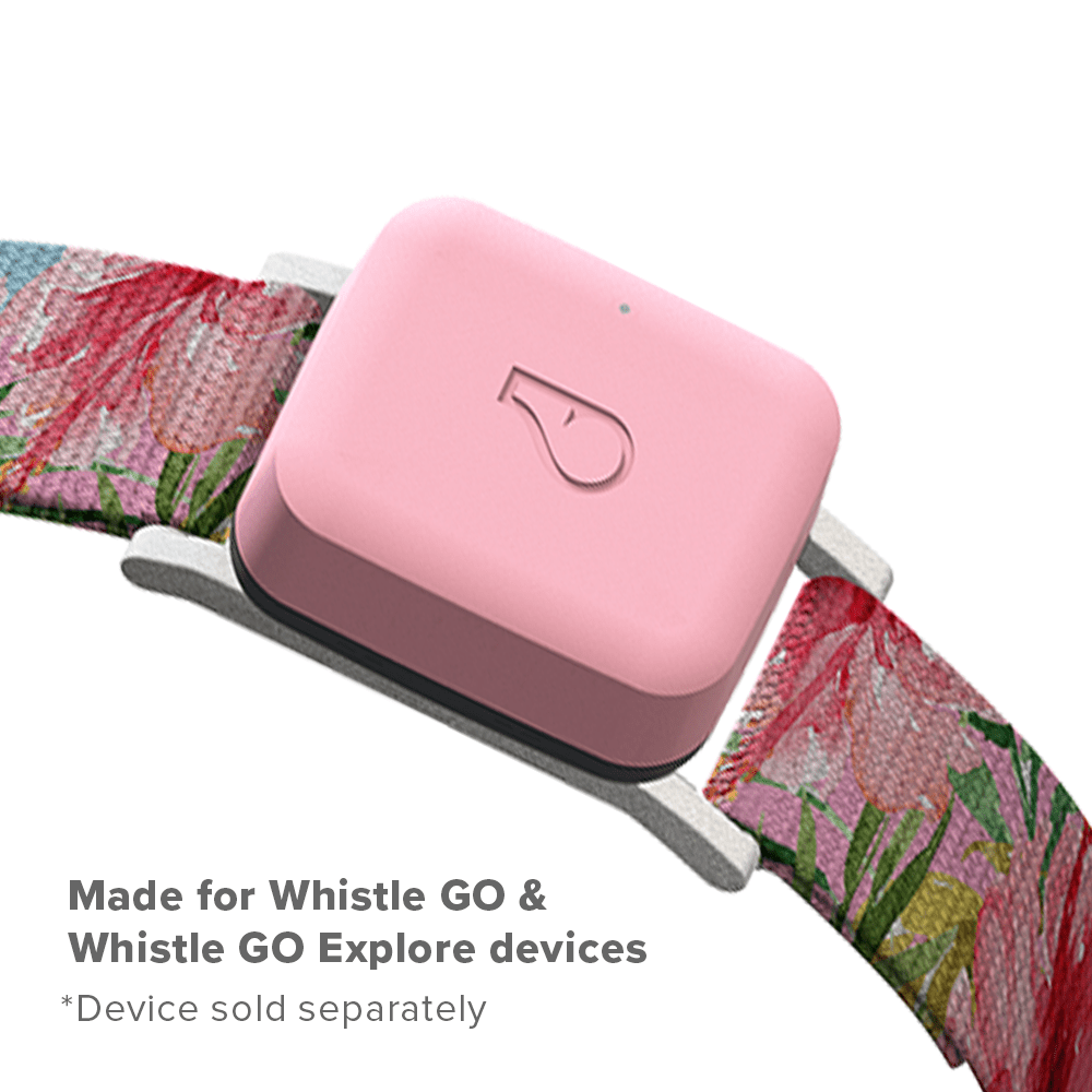 Whistle Medium Twist & Go Dog Tracking Collar Compatible with Whistle GO Explore Dog GPS Tracker Device, Floral