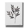 thumbnail image 1 of Epic Graffiti 'Reductive Leaf Stem Black' by Rachel Nieman, Canvas Wall Art, 26"x34", 1 of 2