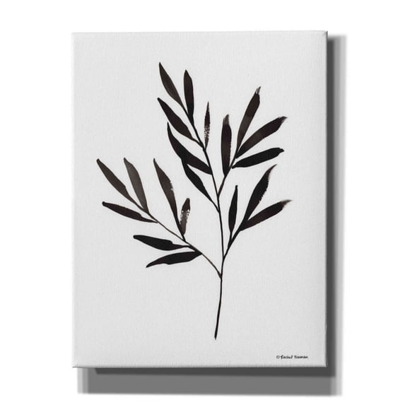 Epic Graffiti 'Reductive Leaf Stem Black' by Rachel Nieman, Canvas Wall Art, 26"x34"