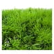 thumbnail image 4 of Césped acuático artificial con plantas verdes y agua, paisaje de acuario., 4 of 5