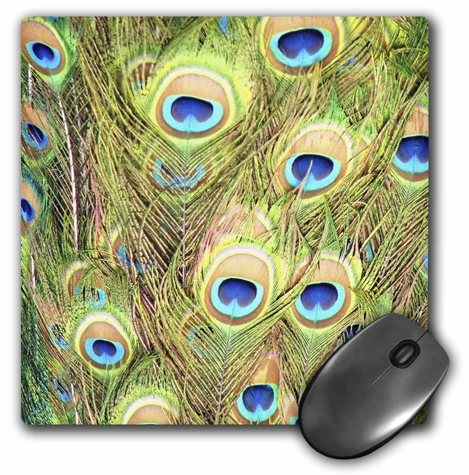 3dRose Macro Of Real Peacock Feathers, Mouse Pad, 8 by 8 inches ...