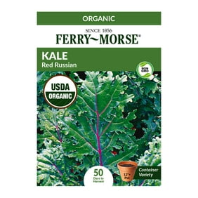 Ferry-Morse Organic Red Russian Kale Seeds