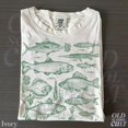 thumbnail image 2 of Vintage Fish Illustration Graphic Print T-Shirt | Retro Marine Biology Tee | Oceanic Nature Lover Unisex Top, 2 of 7