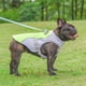 thumbnail image 2 of Chaleco refrescante de verano para perros, ropa con anilla para correa para perros, malla transpirable ajustable, reflectante, chaleco de liberación rápida para mascotas, 2 of 5